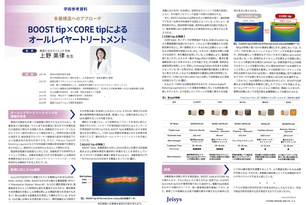 デンシティのホワイトペーパー